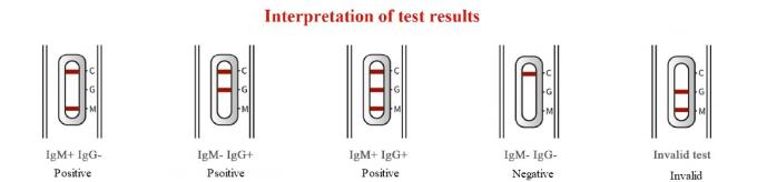 Uitrusting van de het Antilichamen de Snelle Test van 2019-nCoV IgG/IgM